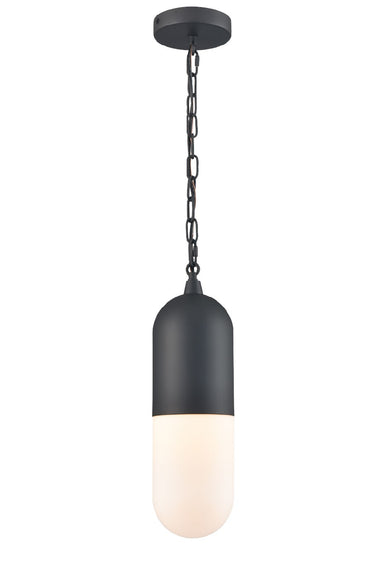 DVI Canada - One Light Pendant - Capsule Outdoor - Black With Half Opal Glass- Union Lighting Luminaires Decor