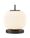 DVI Canada - One Light Table Lamp - Mount Pearl - Graphite With Ribbed Half Opal Glass- Union Lighting Luminaires Decor