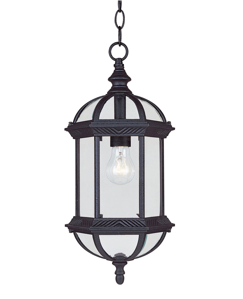 Savoy House - One Light Hanging Lantern - Kensington - Textured Black- Union Lighting Luminaires Decor
