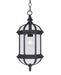 Savoy House - One Light Hanging Lantern - Kensington - Textured Black- Union Lighting Luminaires Decor