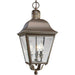 Progress Canada - Three Light Hanging Lantern - Andover - Antique Bronze- Union Lighting Luminaires Decor
