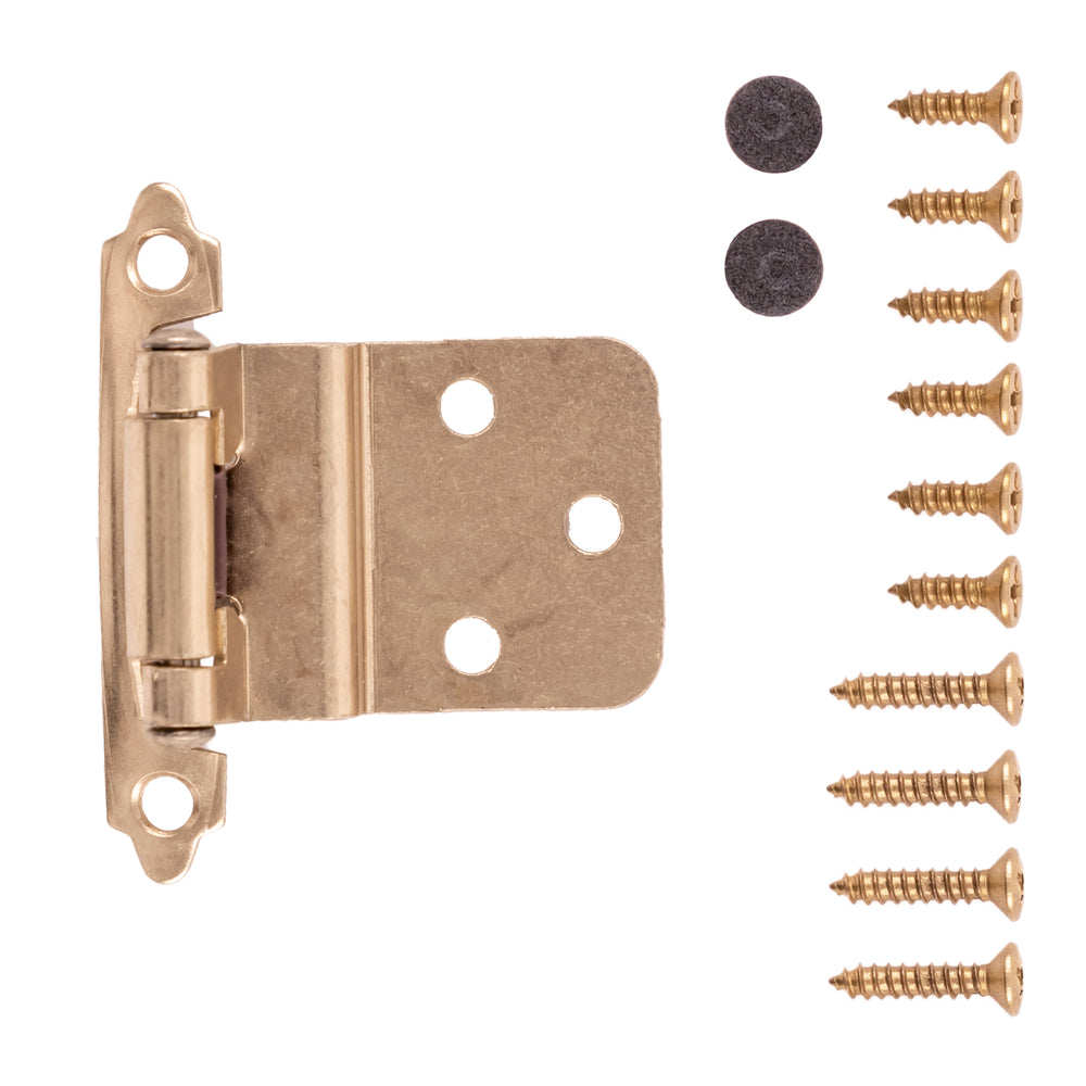 Hinge 3/8 Inch Inset Surface Face Frame Self-Close (6 Pack)