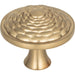 Atlas - Hardware - Mandalay Round Knob - Champagne - Union Lighting Luminaires Decor