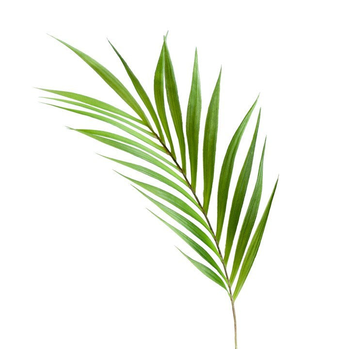 Faux Palm Leaf Stem
