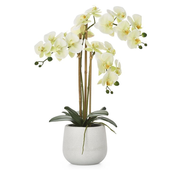 Faux Triple Stem Orchid -Yellow