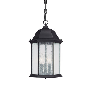 Capital Lighting - Three Light Outdoor Hanging Lantern - Main Street - Black- Union Lighting Luminaires Decor