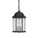 Capital Lighting - Three Light Outdoor Hanging Lantern - Main Street - Black- Union Lighting Luminaires Decor