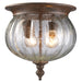 Z-Lite Canada - Two Light Outdoor Flush Mount - Belmont - Weathered Bronze- Union Lighting Luminaires Decor