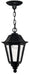 Hinkley Canada - LED Hanging Lantern - Manor House - Black- Union Lighting Luminaires Decor