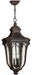 Hinkley Canada - LED Hanging Lantern - Trafalgar - Mocha- Union Lighting Luminaires Decor