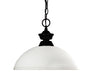 Z-Lite Canada - One Light Pendant - Shark/Windsor - Matte Black- Union Lighting Luminaires Decor