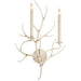 Visual Comfort Signature Canada - Two Light Wall Sconce - Branch - Old White- Union Lighting Luminaires Decor