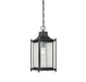 Savoy House - One Light Hanging Lantern - Dunnmore - Black- Union Lighting Luminaires Decor