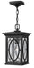 Hinkley Canada - LED Hanging Lantern - Randolph - Black- Union Lighting Luminaires Decor