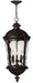 Hinkley Canada - LED Hanging Lantern - Windsor - Black- Union Lighting Luminaires Decor