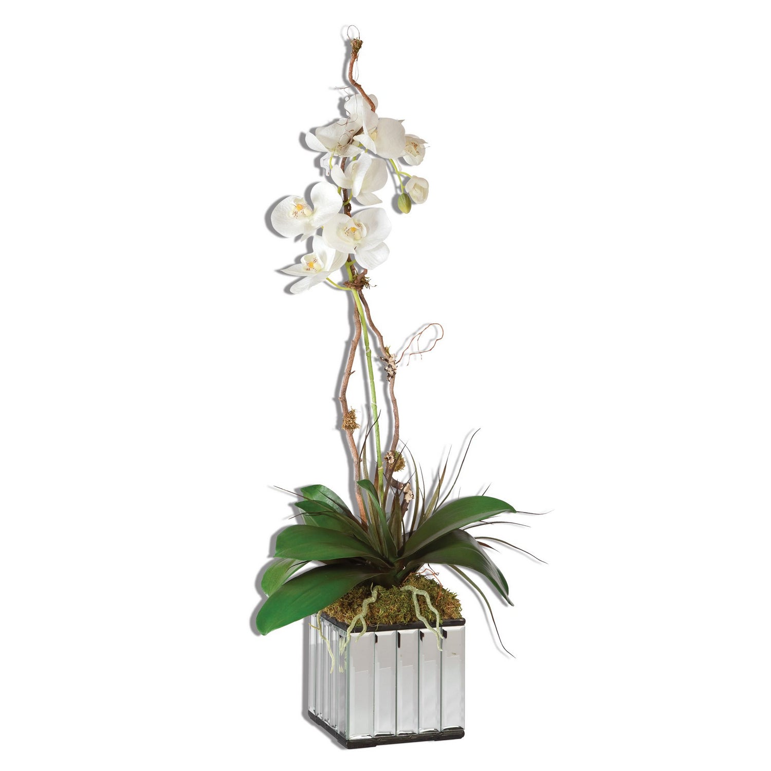 Uttermost - Planter - Kaleama Orchids - White- Union Lighting Luminaires Decor