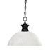 Z-Lite Canada - One Light Pendant - Shark - Matte Black- Union Lighting Luminaires Decor