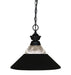 Z-Lite Canada - One Light Pendant - Shark - Matte Black- Union Lighting Luminaires Decor
