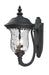 Z-Lite Canada - Two Light Outdoor Wall Sconce - Armstrong - Black- Union Lighting Luminaires Decor