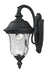 Z-Lite Canada - One Light Outdoor Wall Sconce - Armstrong - Black- Union Lighting Luminaires Decor