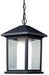 Z-Lite Canada - One Light Outdoor Chain Mount Ceiling Fixture - Mesa - Black- Union Lighting Luminaires Decor