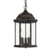 Capital Lighting - Three Light Outdoor Hanging Lantern - Main Street - Old Bronze- Union Lighting Luminaires Decor
