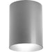 Progress Canada - LED Cylinder - LED Cylinders - Metallic Gray- Union Lighting Luminaires Decor