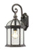 Z-Lite Canada - One Light Outdoor Wall Sconce - Annex - Rust- Union Lighting Luminaires Decor