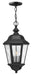 Hinkley Canada - LED Hanging Lantern - Edgewater - Black- Union Lighting Luminaires Decor