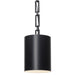 Crystorama - One Light Mini Chandelier - Alston - Matte Black + White- Union Lighting Luminaires Decor