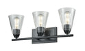 DVI Canada - Three Light Vanity - Louisbourg - Ebony w/Clear Glass- Union Lighting Luminaires Decor