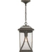 Progress Canada - One Light Hanging Lantern - Abbott - Antique Bronze- Union Lighting Luminaires Decor