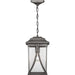 Progress Canada - One Light Hanging Lantern - Abbott - Antique Pewter- Union Lighting Luminaires Decor