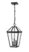 Z-Lite Canada - Three Light Outdoor Chain Mount Ceiling Fixture - Talbot - Black- Union Lighting Luminaires Decor