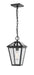Z-Lite Canada - One Light Outdoor Chain Mount Ceiling Fixture - Talbot - Black- Union Lighting Luminaires Decor