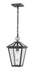 Z-Lite Canada - One Light Outdoor Chain Mount Ceiling Fixture - Talbot - Oil Rubbed Bronze- Union Lighting Luminaires Decor