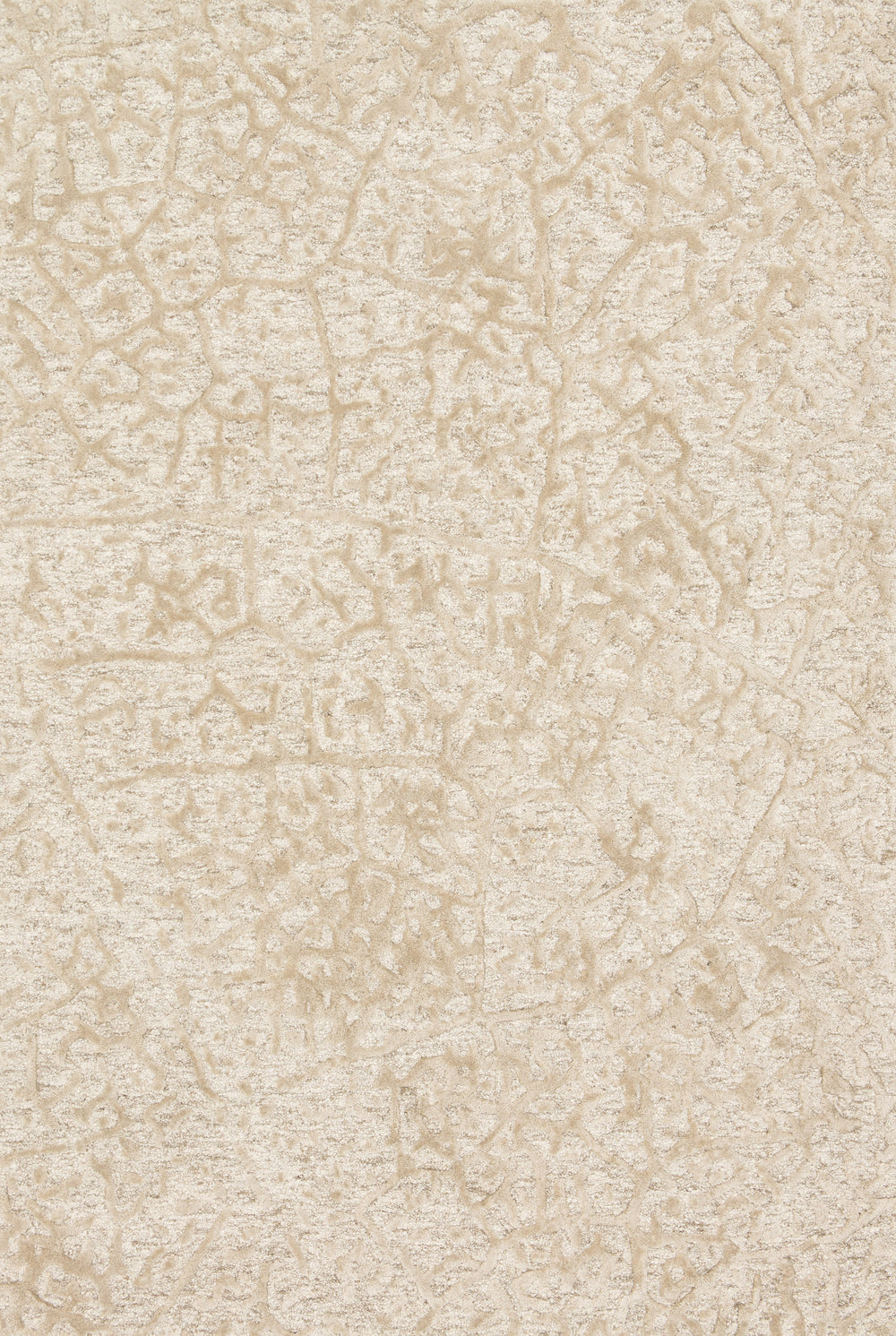 Loloi - Area Rug - Juneau AntIvory/Beige Rug - Union Lighting Luminaires Décor