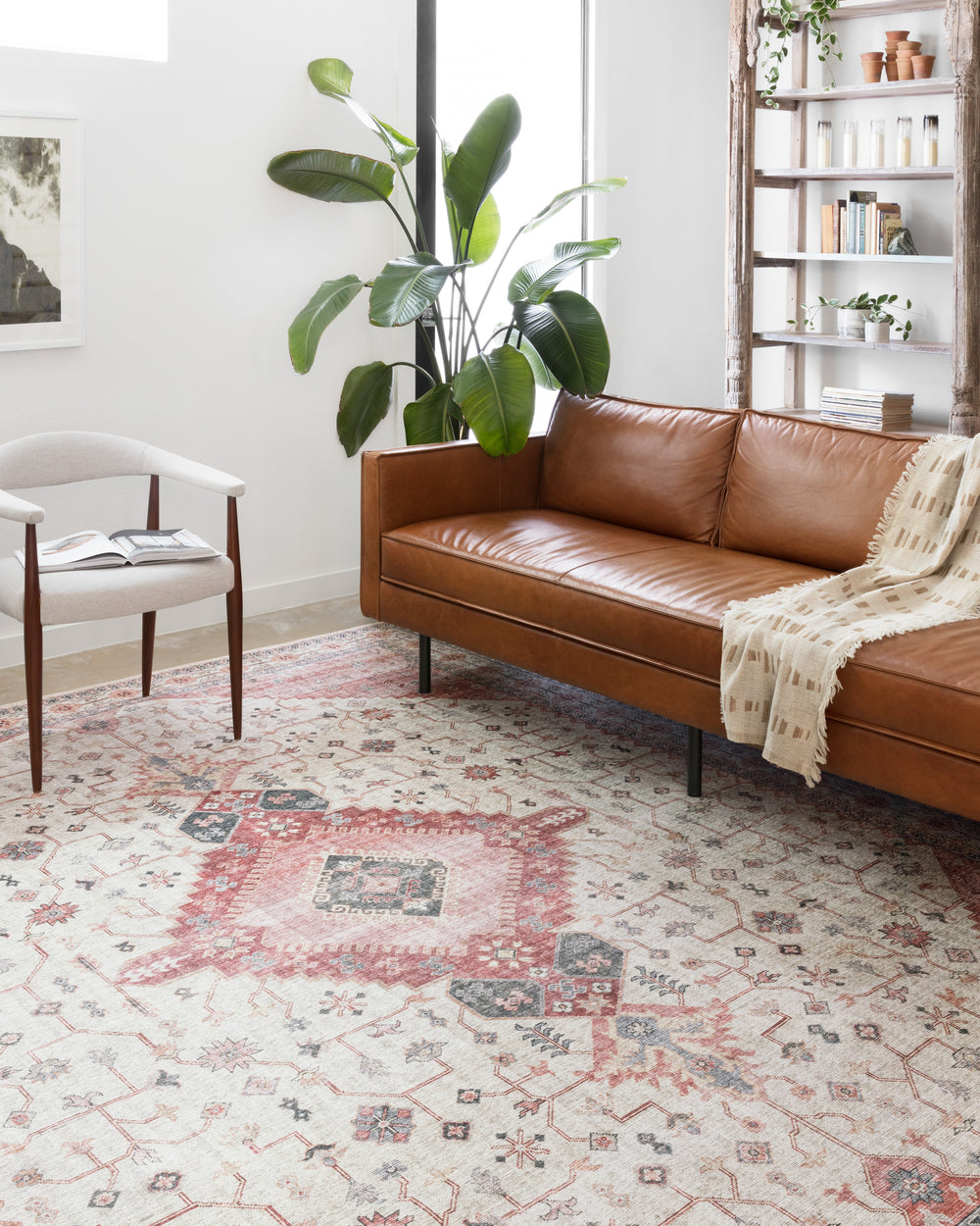 Sky-02 Skye Ivory / Berry Rug