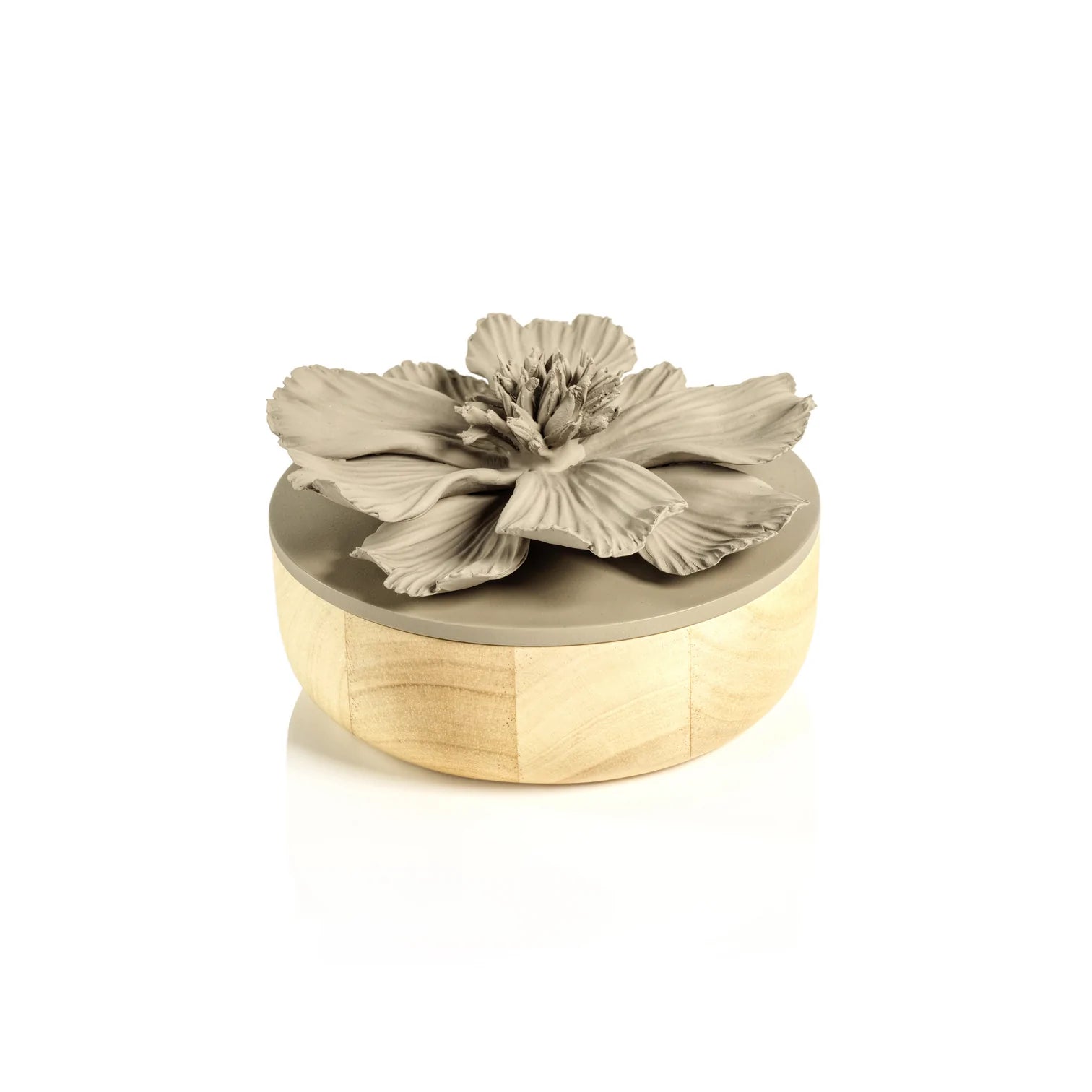 Cosmos Porcelain and Natural Wood Flower Box